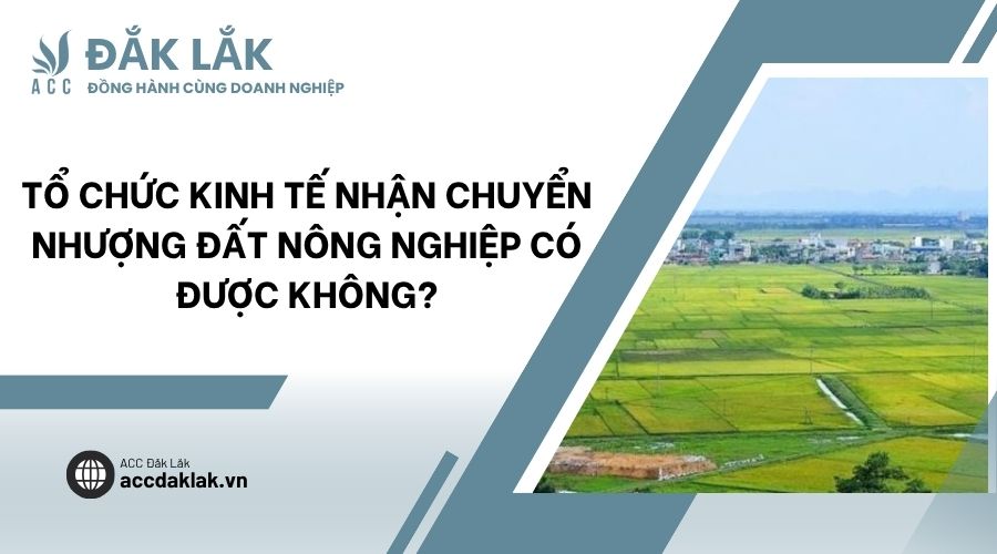 Tổ chức kinh tế nhận chuyển nhượng đất nông nghiệp có được không?