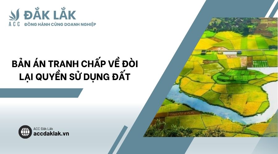 Bản án tranh chấp về đòi lại quyền sử dụng đất​