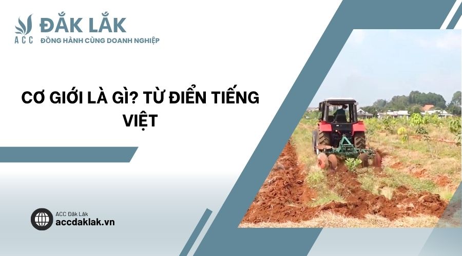 Cơ giới là gì? Từ điển tiếng Việt