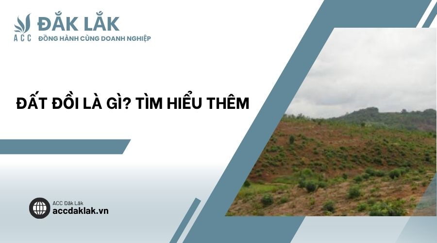Đất đồi là gì? Tìm hiểu thêm