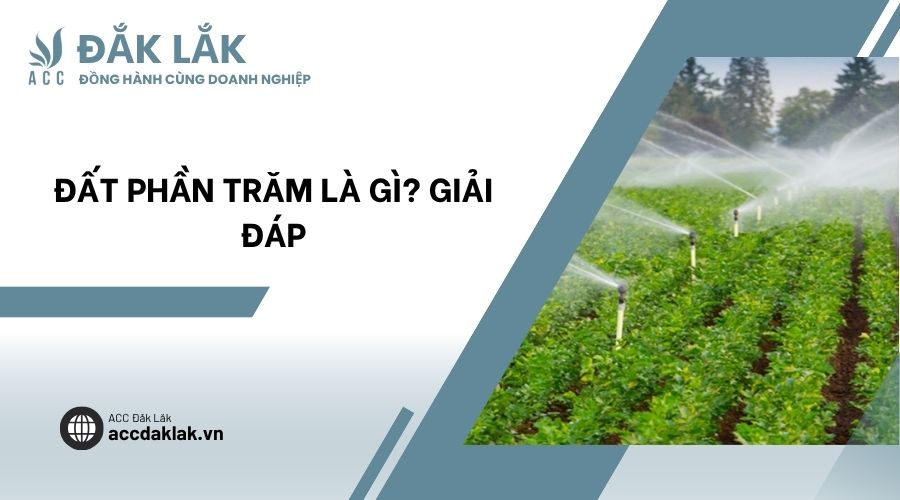 Đất phần trăm là gì? Giải đáp