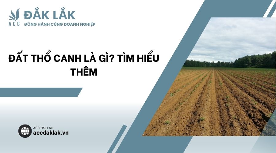 Đất thổ canh là gì? Tìm hiểu thêm