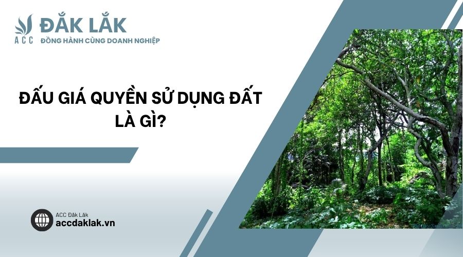 Đấu giá quyền sử dụng đất là gì?