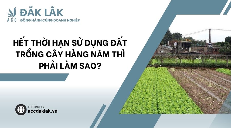 Hết thời hạn sử dụng đất trồng cây hàng năm thì phải làm sao?