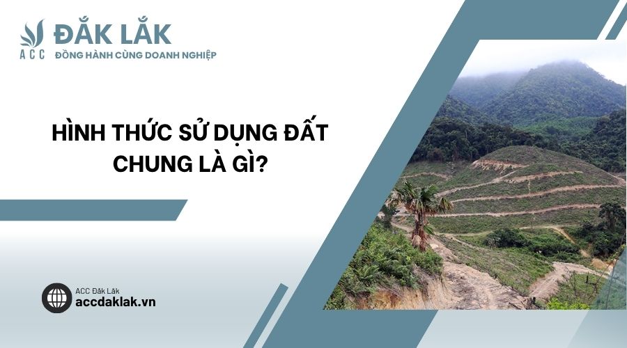Hình thức sử dụng đất chung là gì?