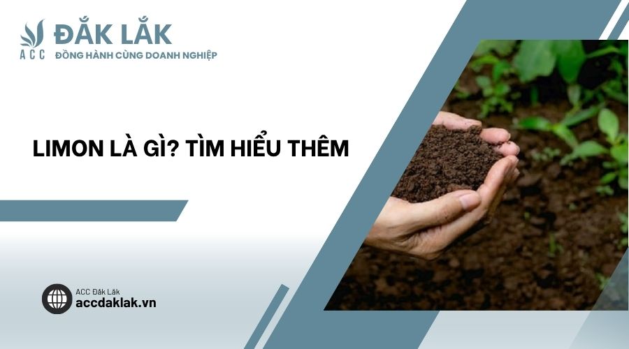 Limon là gì? Tìm hiểu thêm