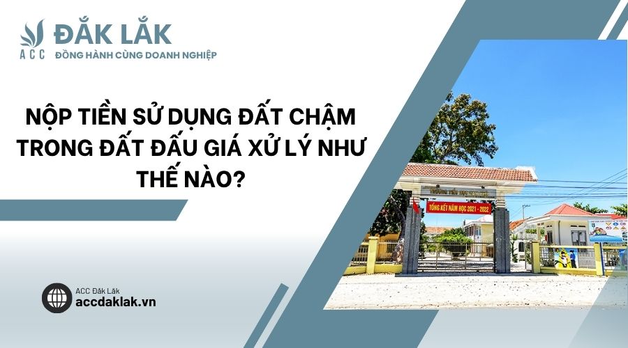Nộp tiền sử dụng đất chậm trong đất đấu giá xử lý như thế nào?