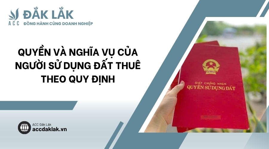 Quyền và nghĩa vụ của người sử dụng đất thuê theo quy định