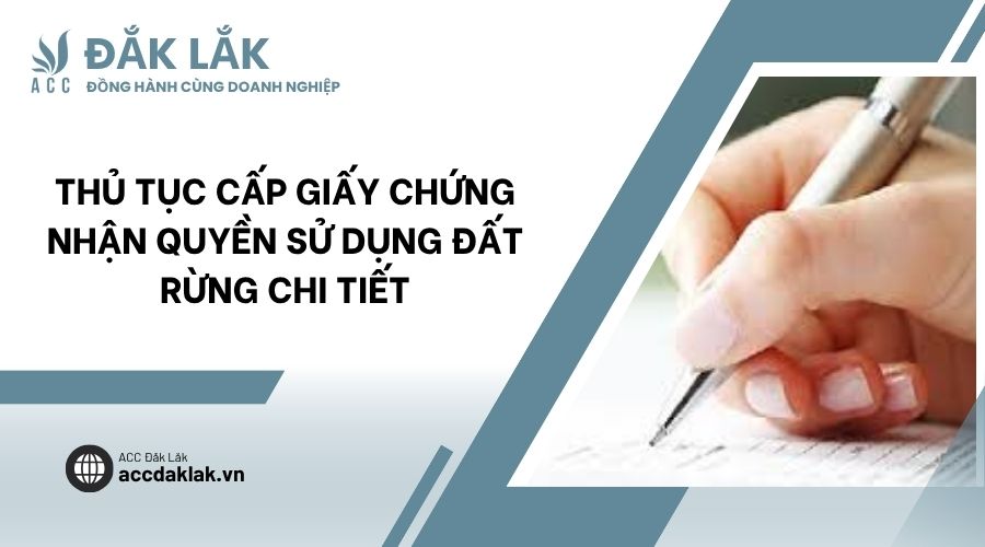 Thủ tục cấp giấy chứng nhận quyền sử dụng đất rừng chi tiết