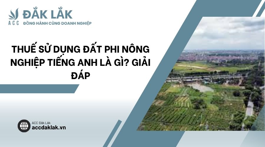 Thuế sử dụng đất phi nông nghiệp tiếng Anh là gì? Giải đáp