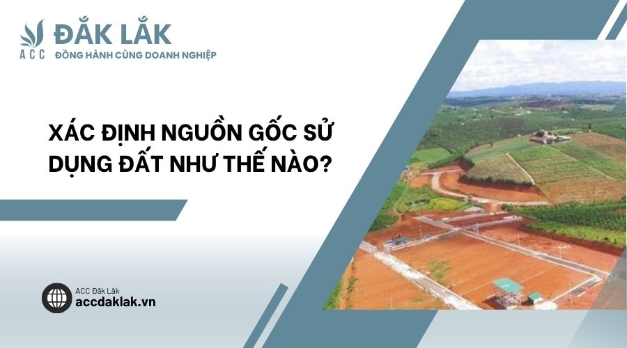 Xác định nguồn gốc sử dụng đất như thế nào?