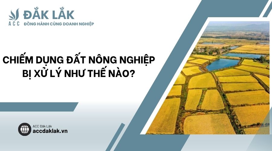 Chiếm dụng đất nông nghiệp bị xử lý như thế nào?