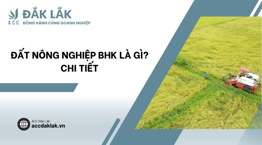 Đất nông nghiệp BHK là gì? Chi tiết