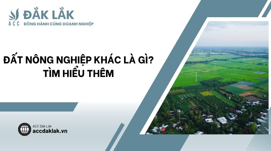 Đất nông nghiệp khác là gì? Tìm hiểu thêm