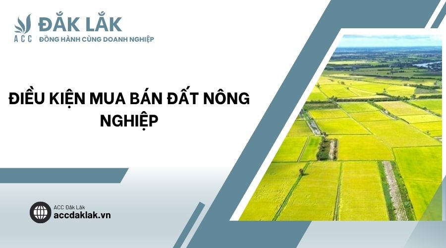 Điều kiện mua bán đất nông nghiệp