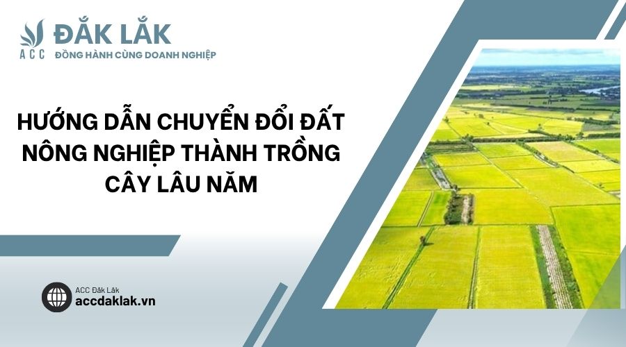 Hướng dẫn chuyển đổi đất nông nghiệp thành trồng cây lâu năm