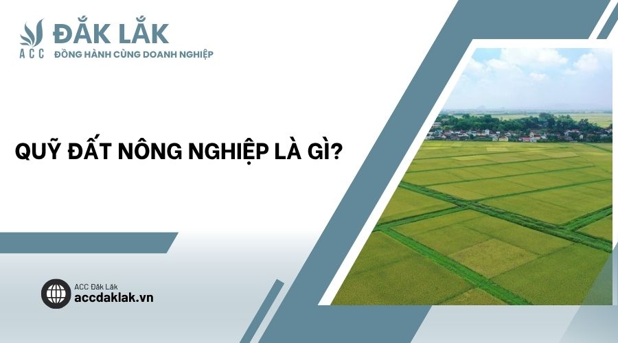 Quỹ đất nông nghiệp là gì?
