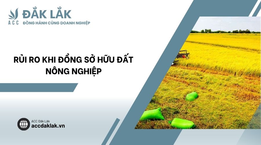 Rủi ro khi đồng sở hữu đất nông nghiệp