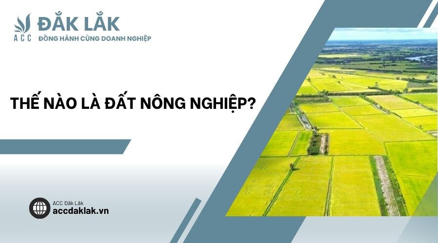 Thế nào là đất nông nghiệp?