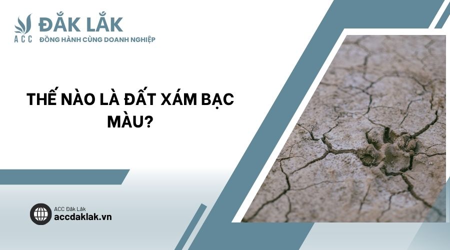 Thế nào là đất xám bạc màu?