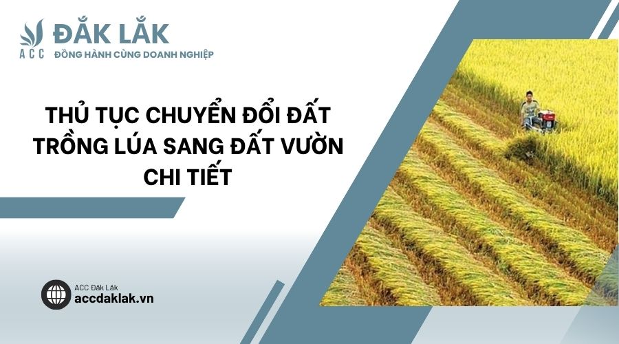 Thủ tục chuyển đổi đất trồng lúa sang đất vườn chi tiết
